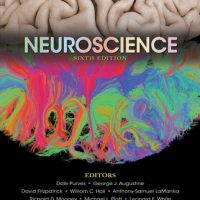 علوم اعصاب ؛ نسخه ششم | Neuroscience ,Sixth Edition