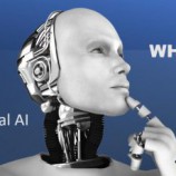 مقررات هوش مصنوعی با «هوش مصنوعی علّی» یا Causal AI